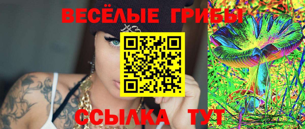 Галлюциногенные грибы Psilocybe  Вход с VPN  закладки  Ялуторовск 