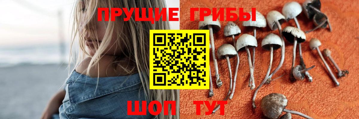 Галлюциногенные грибы мухоморы Ялуторовск